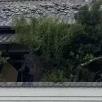 熊本地震と支援の物語