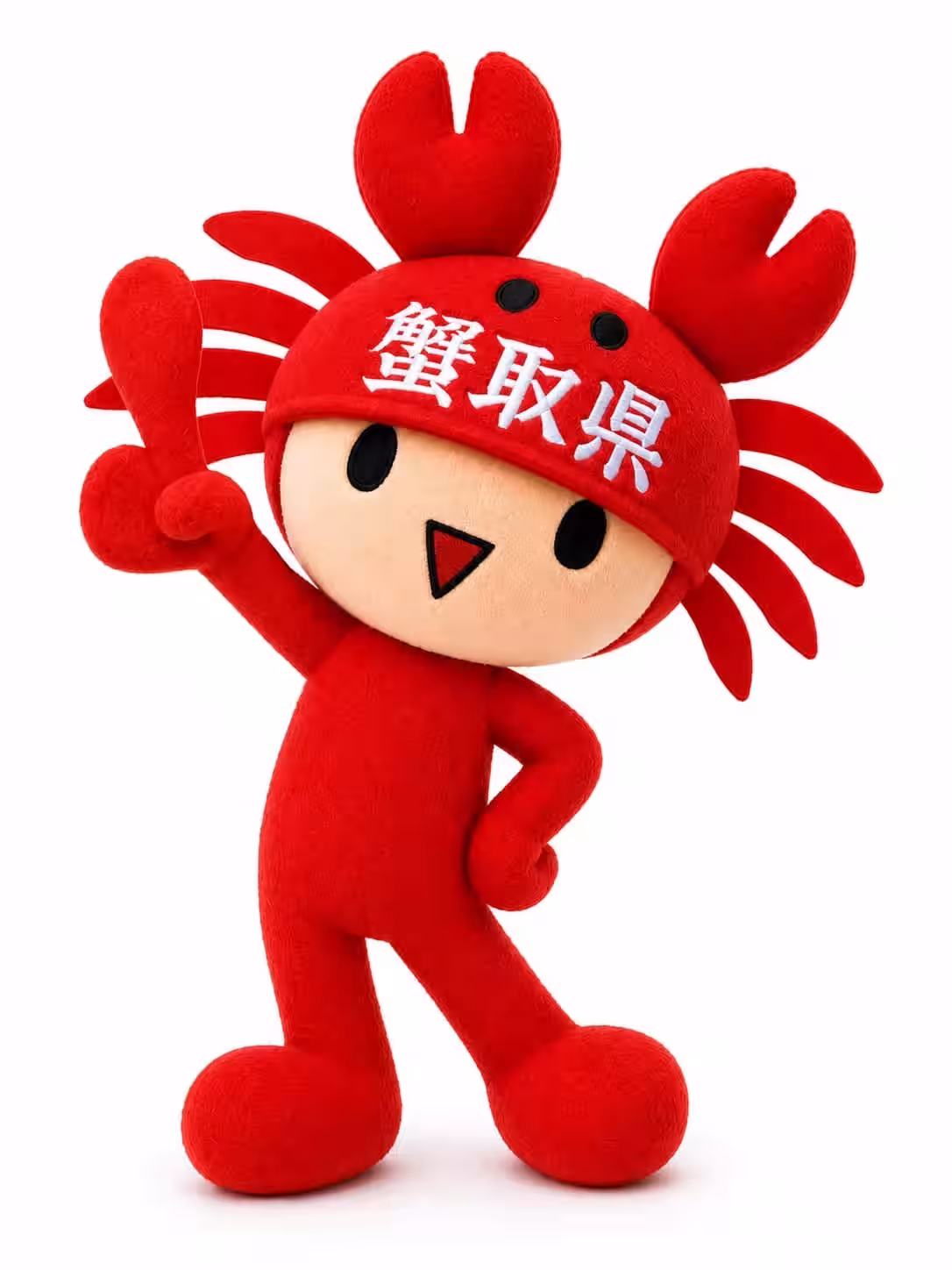 画像9