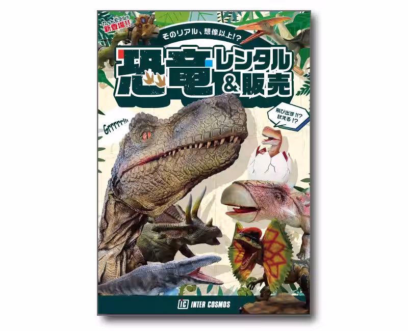 画像8
