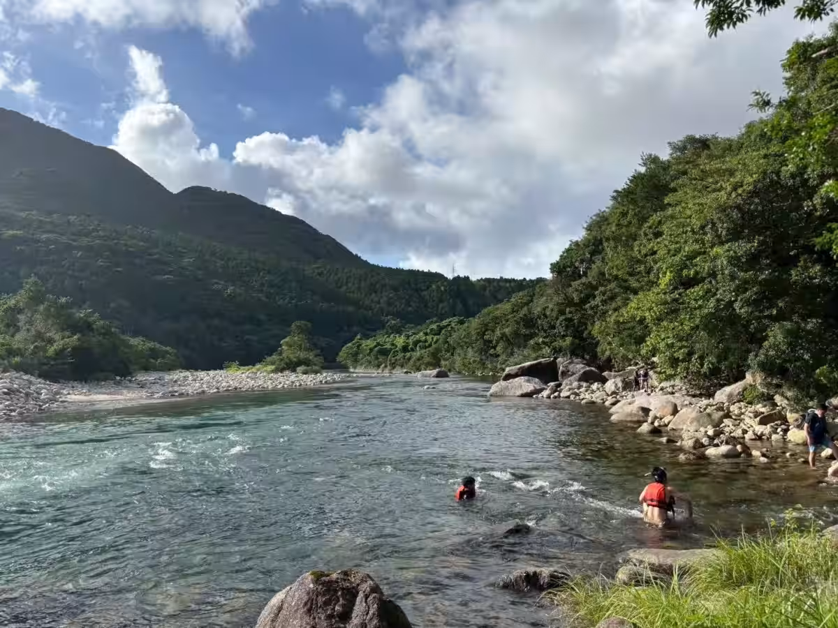 画像7