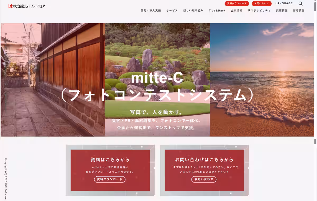 画像5