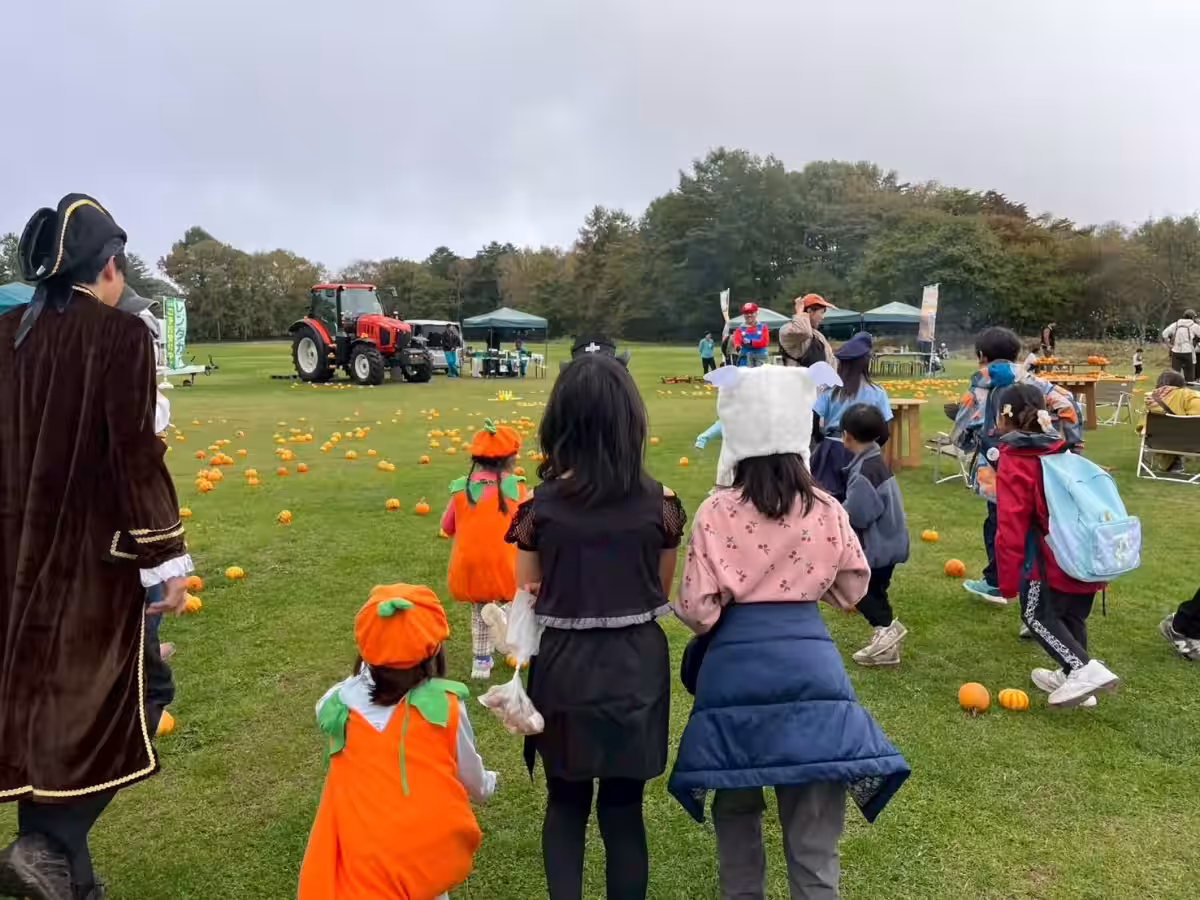 画像12