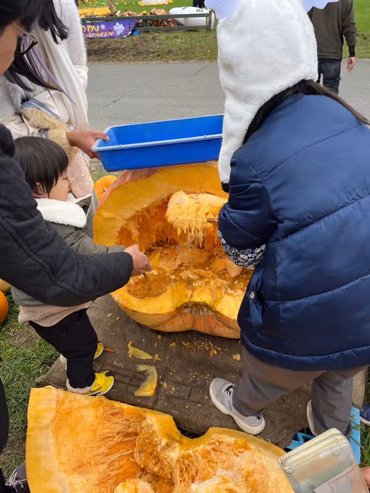 画像19