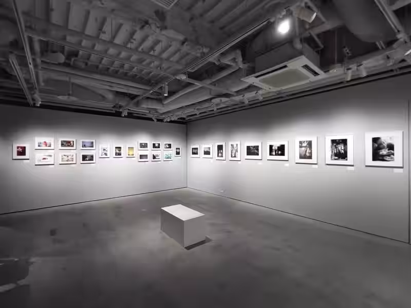 画像11