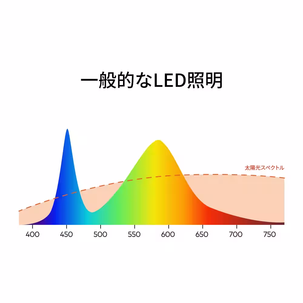 画像11