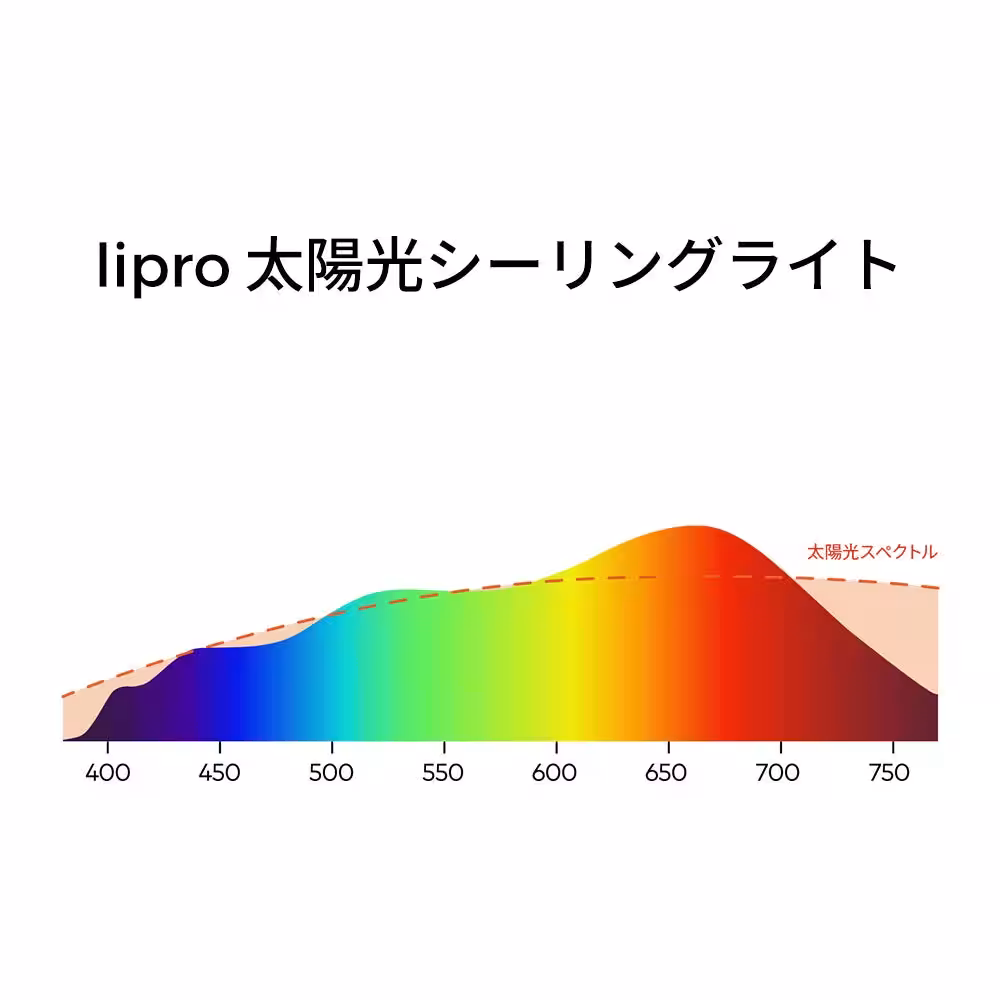 画像10