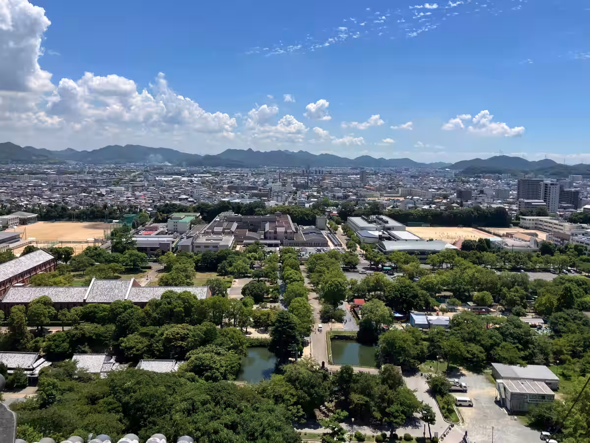 画像4