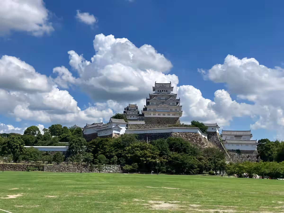 画像5
