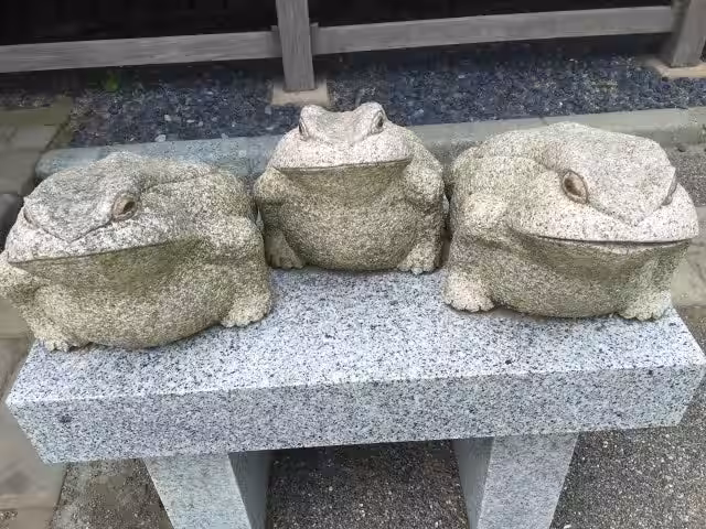 画像6