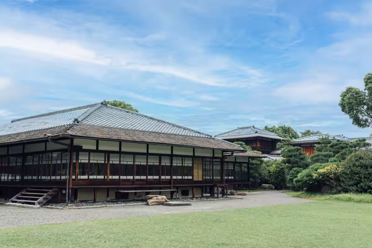 画像5