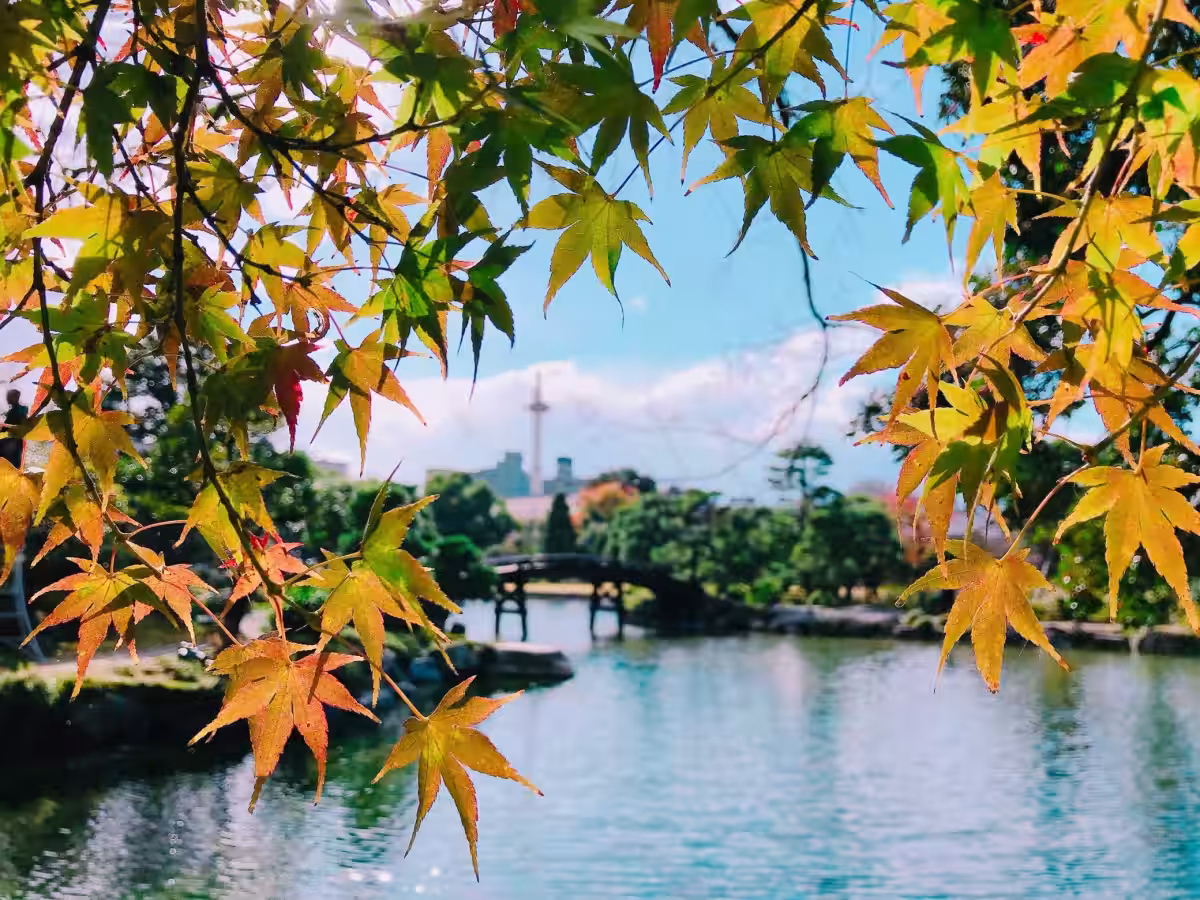 画像6