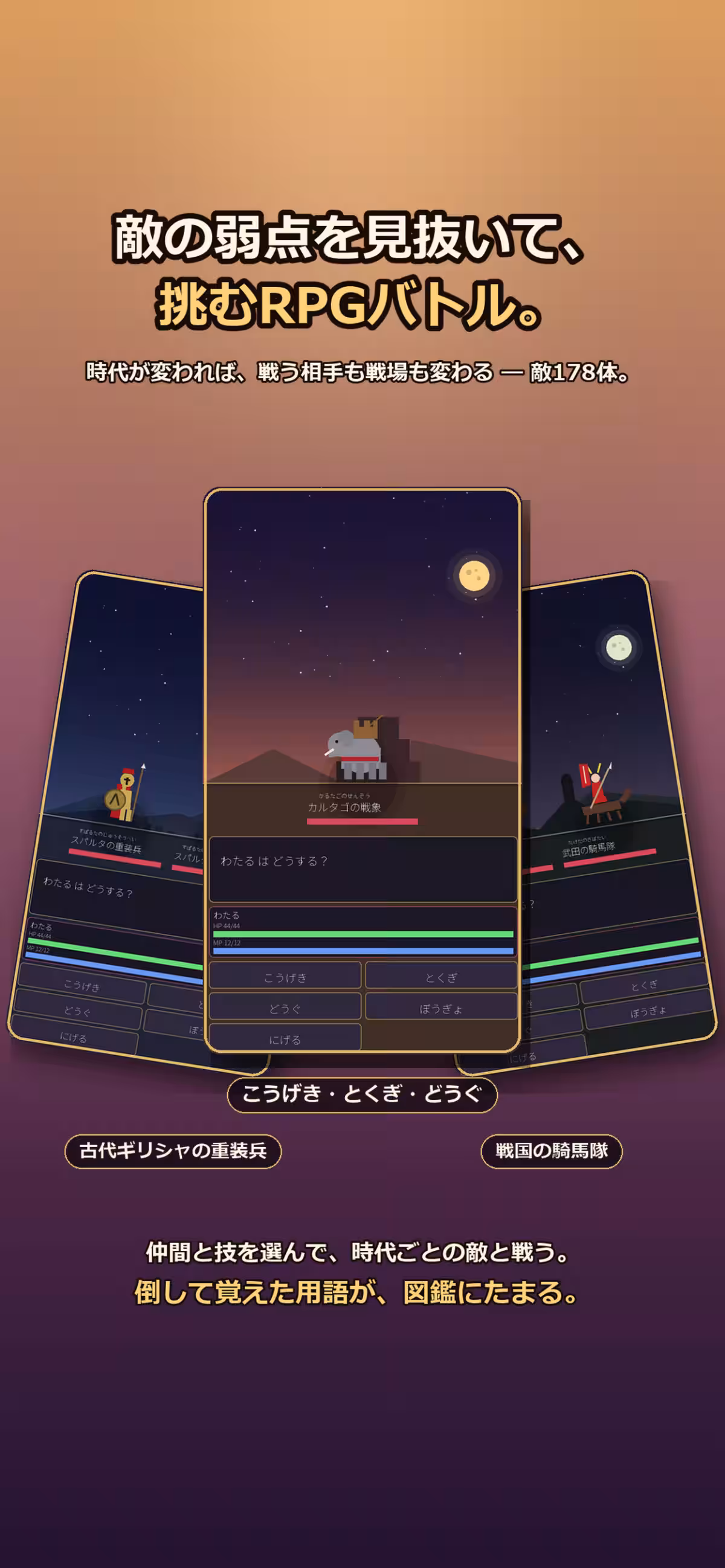 画像8