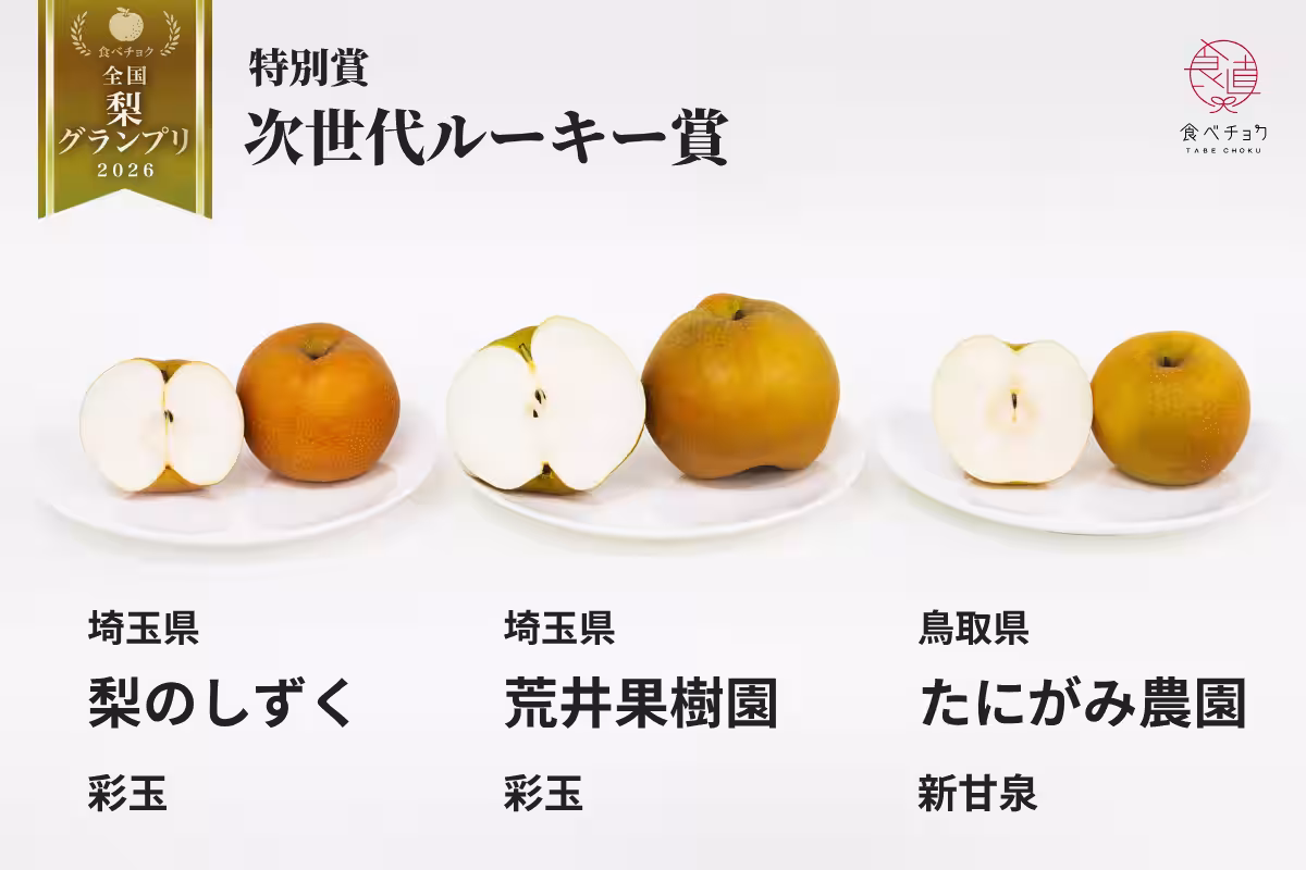 画像15