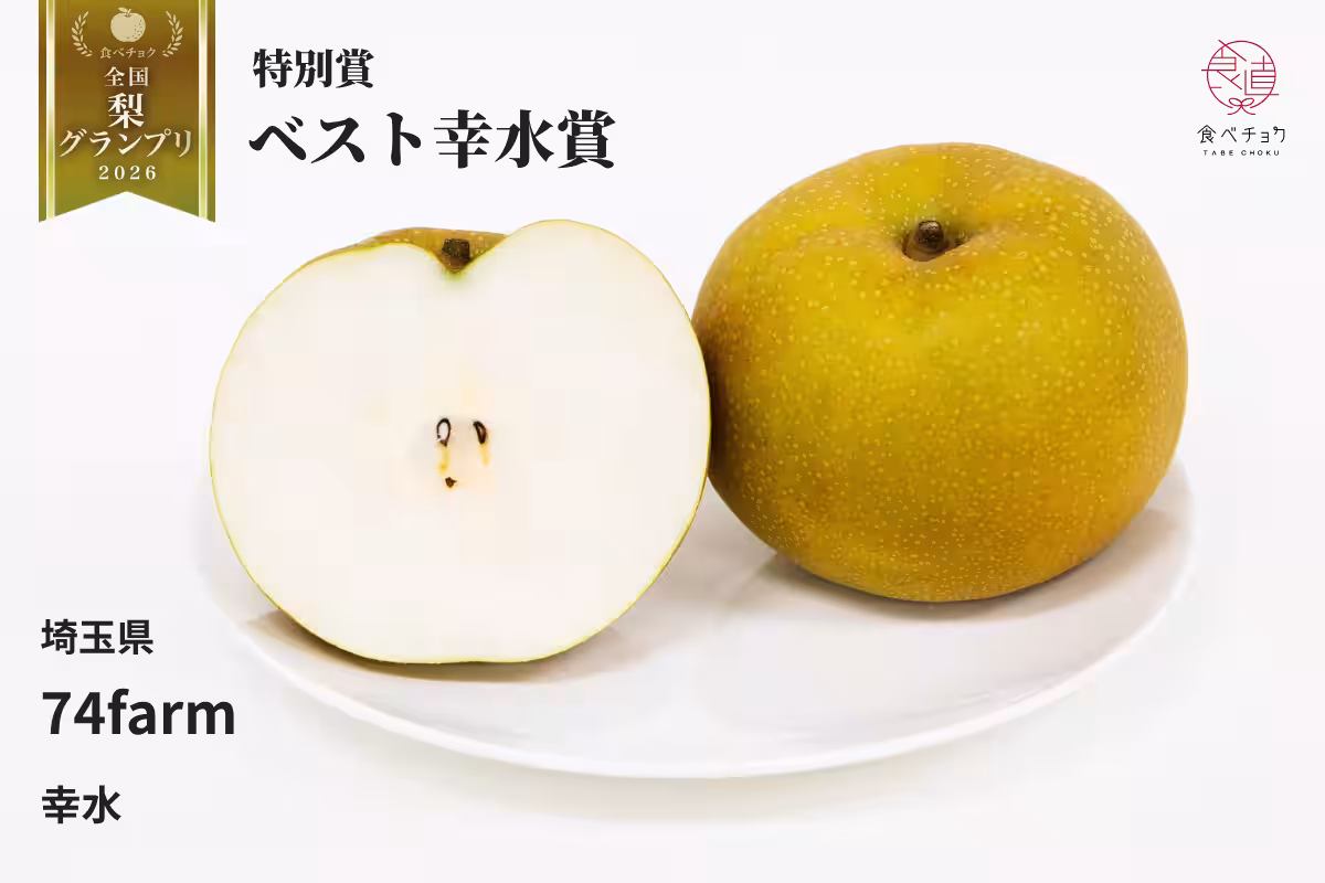 画像11