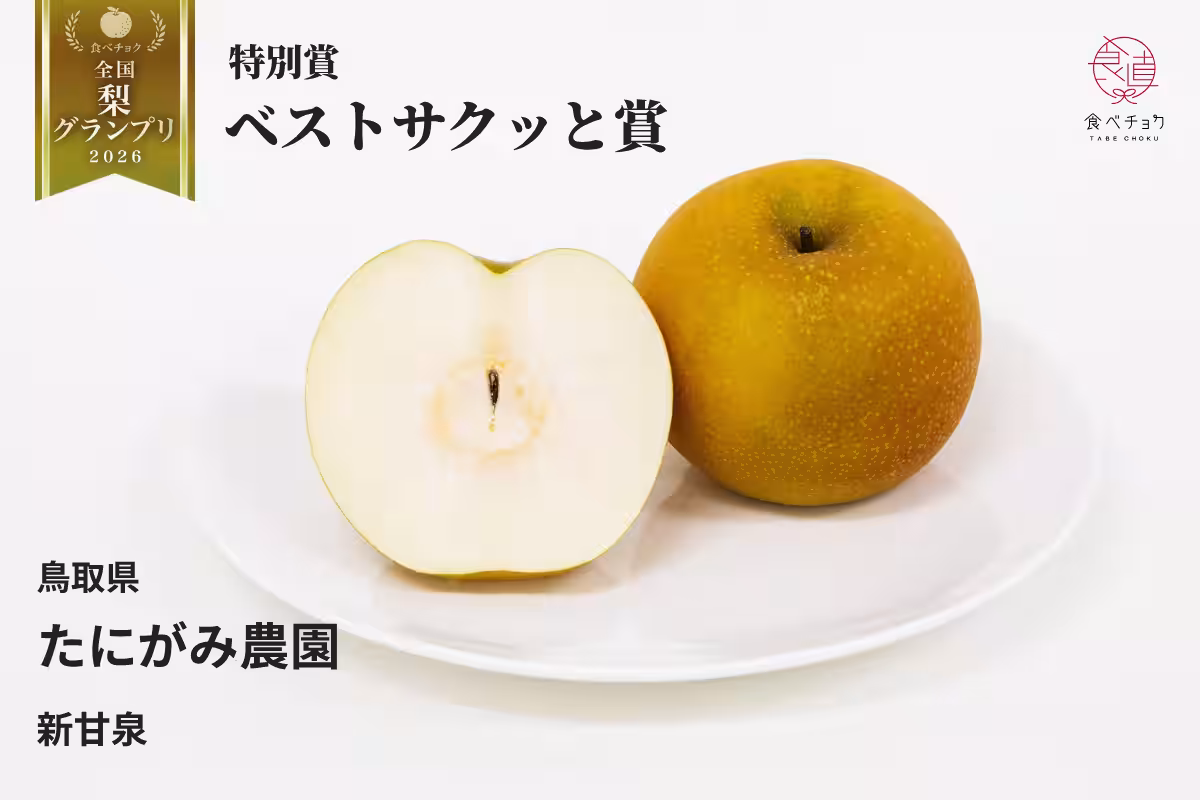 画像13