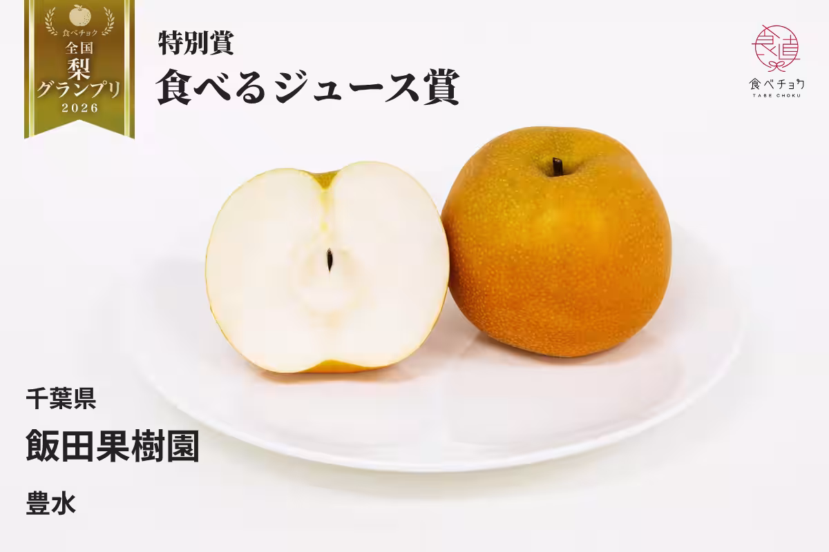 画像12