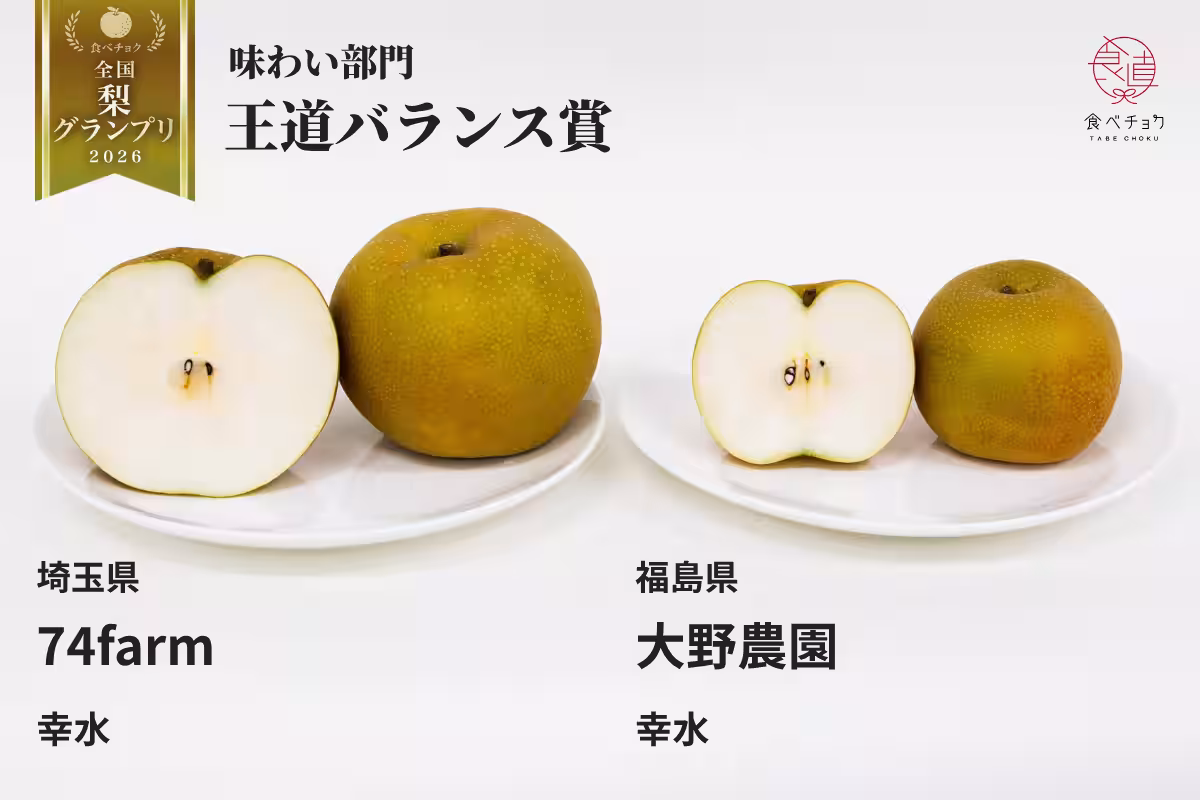 画像8