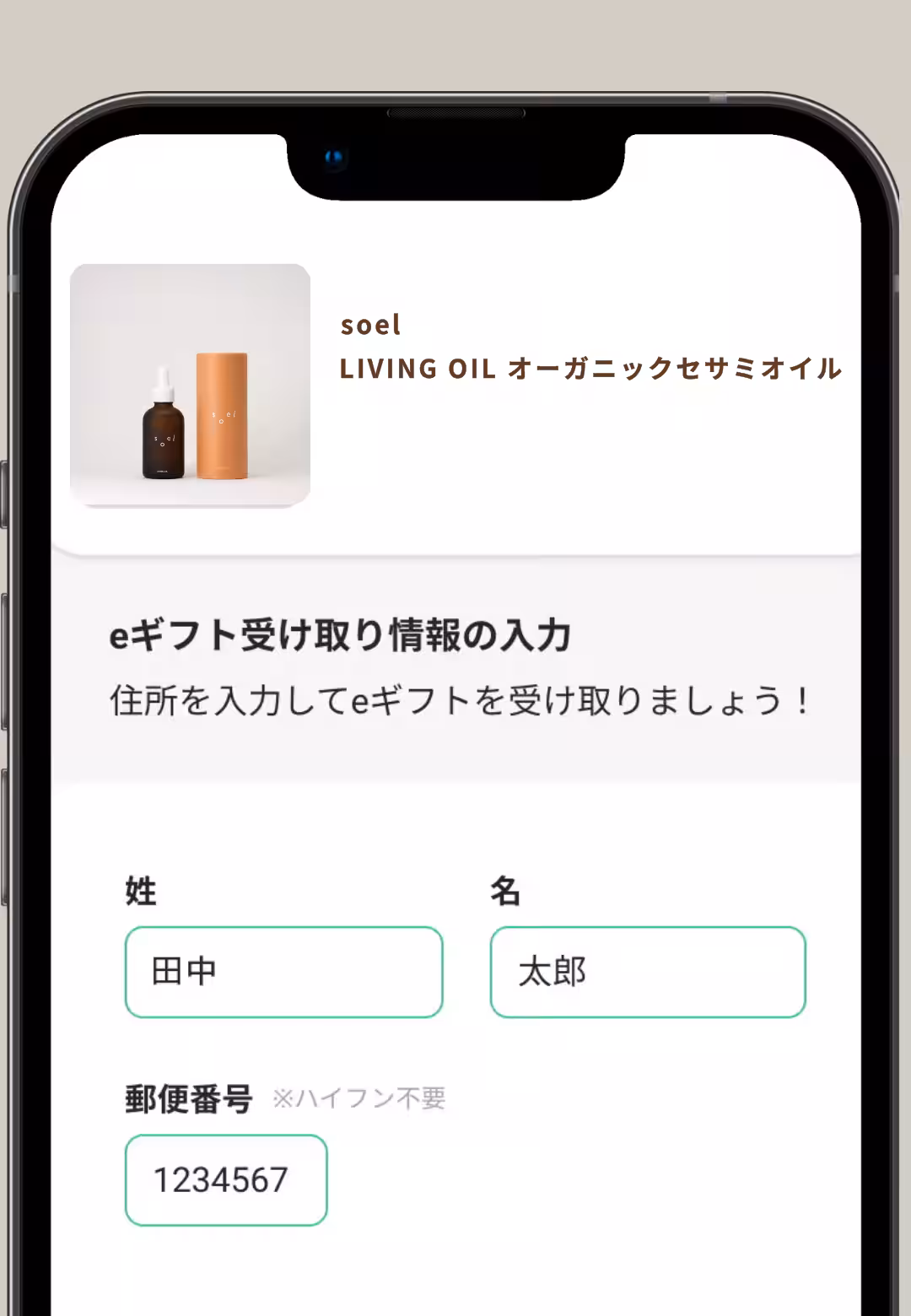 画像9