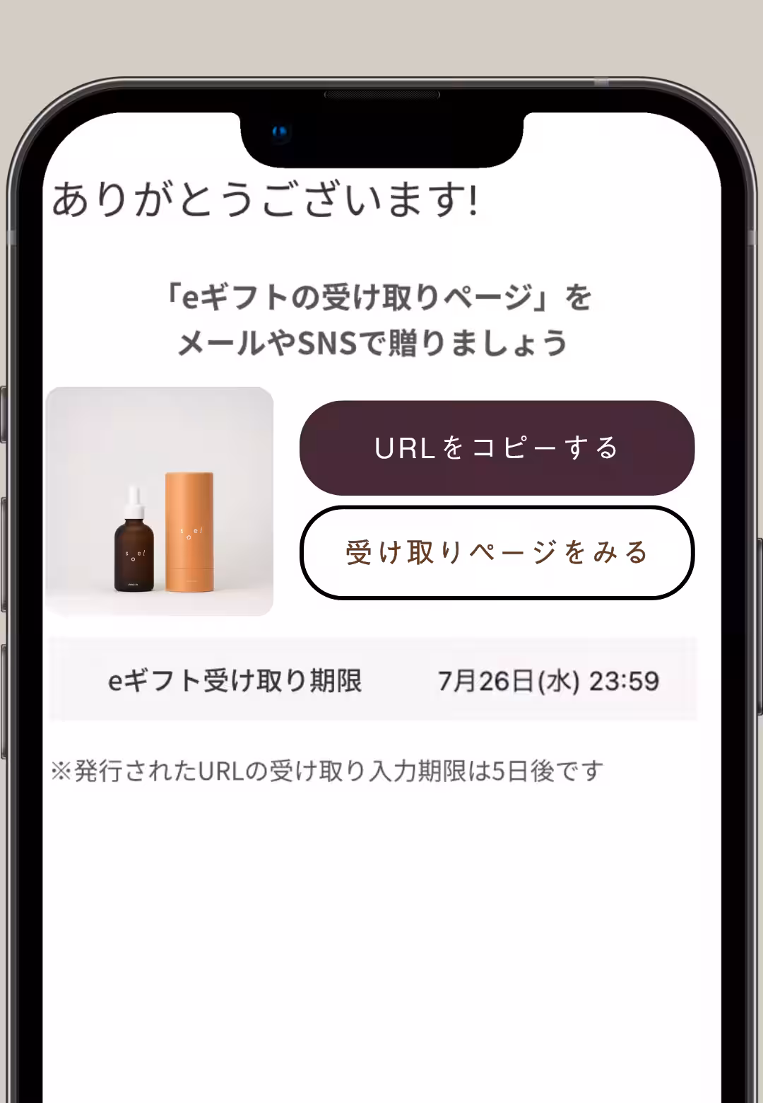 画像13