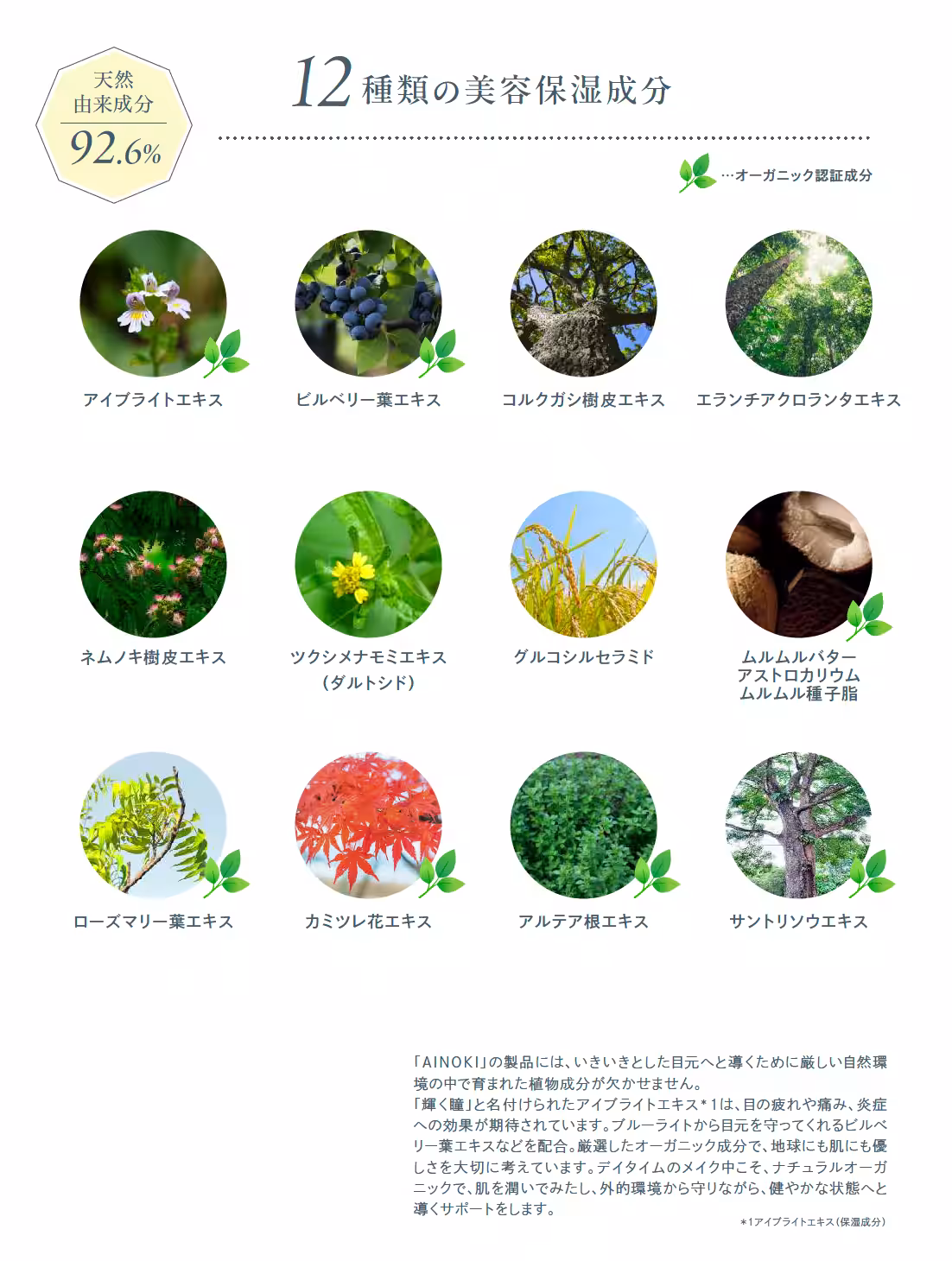 画像11