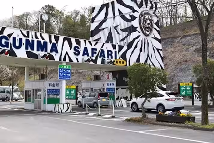 画像10