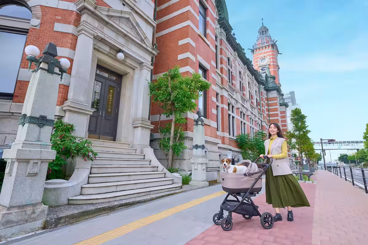 画像1