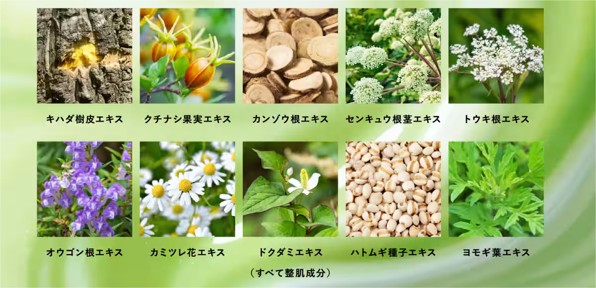 画像7