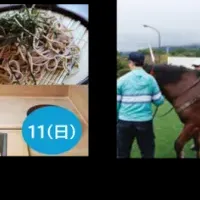 国際me-byoフェスタ