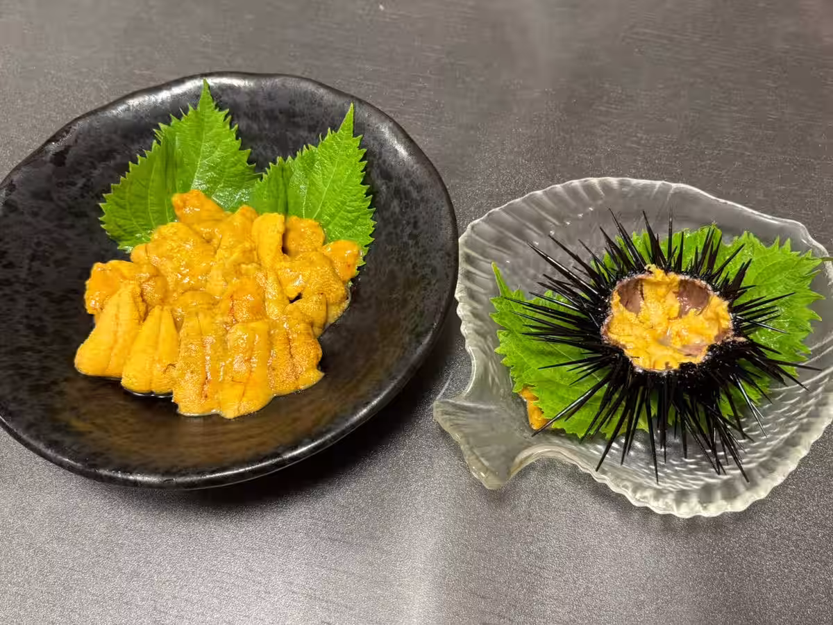 画像5