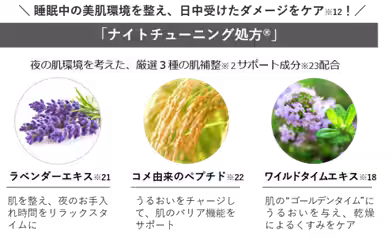 画像12