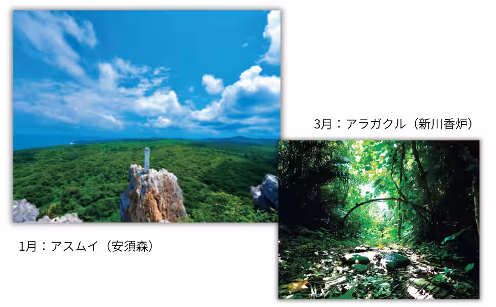 画像5