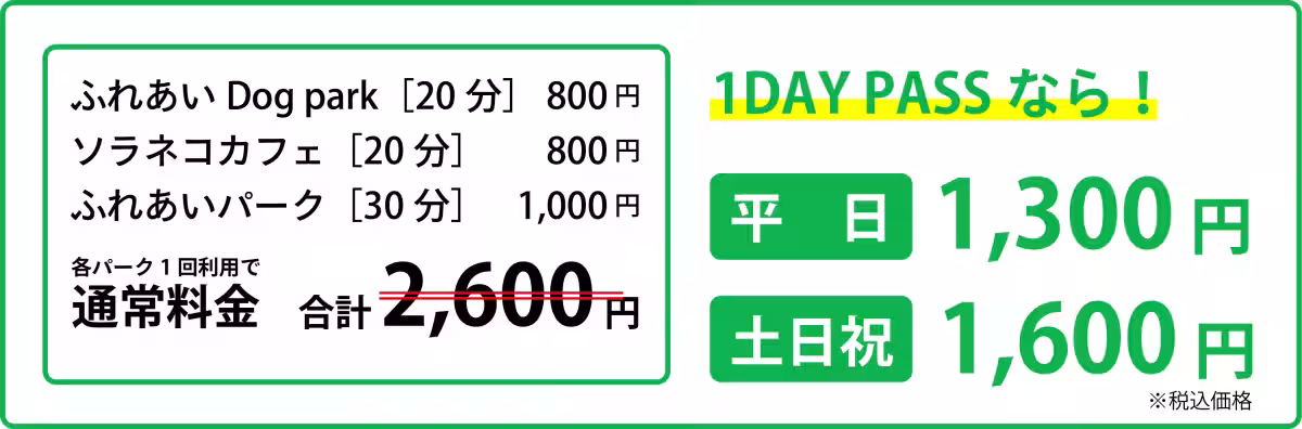 画像11