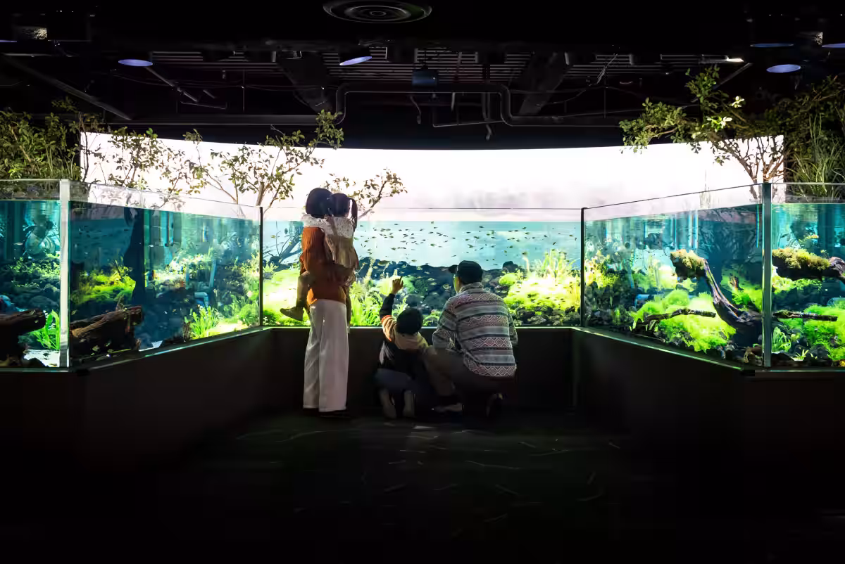 画像19
