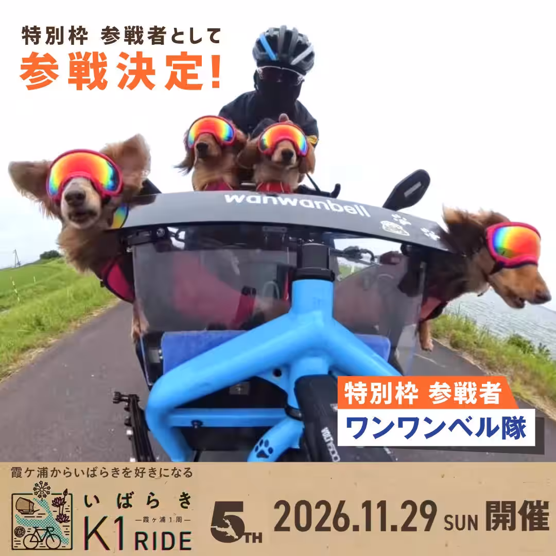 画像11