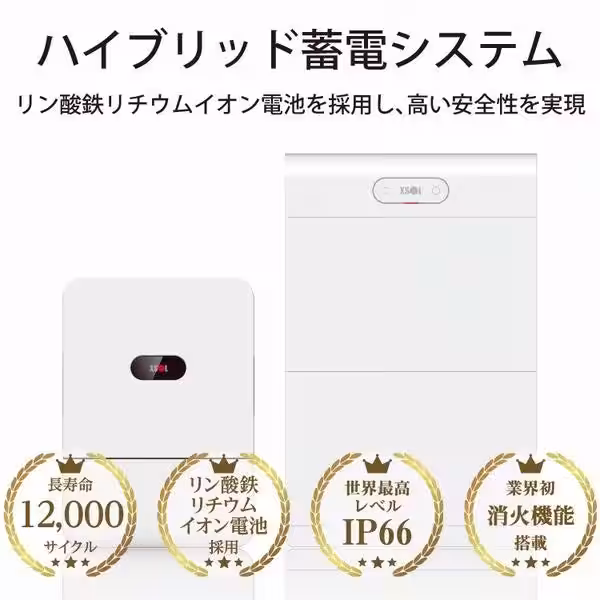 画像6