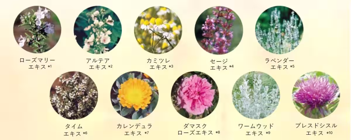 画像9