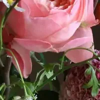 生け花カレンダー2027