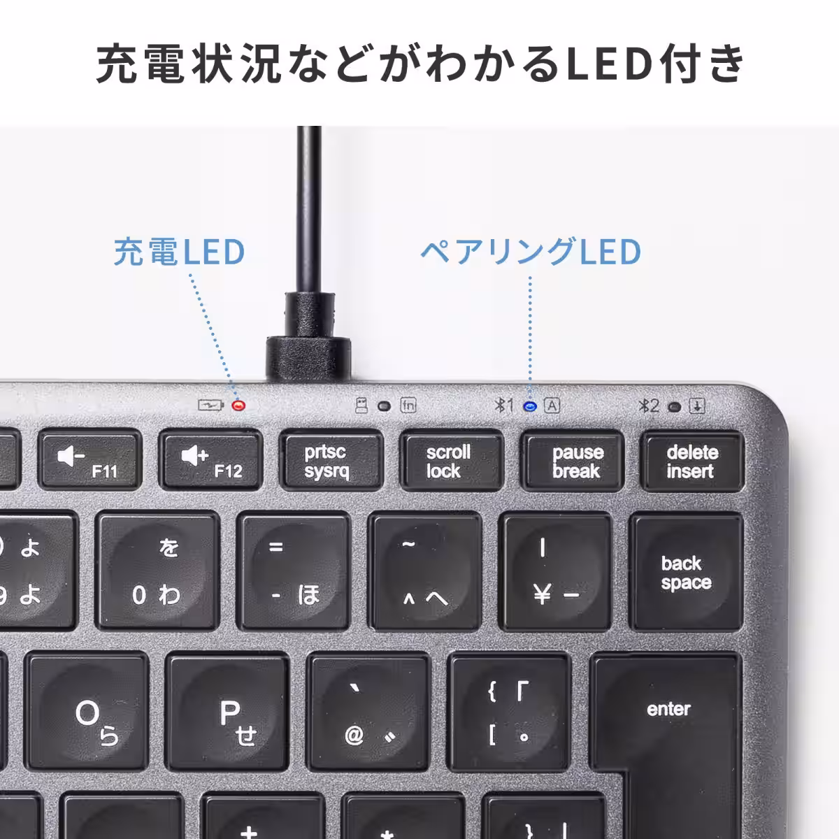 画像15