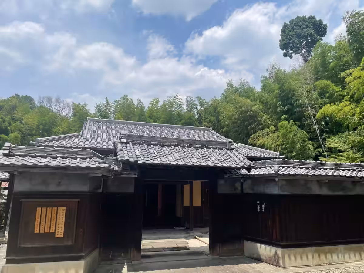 画像4