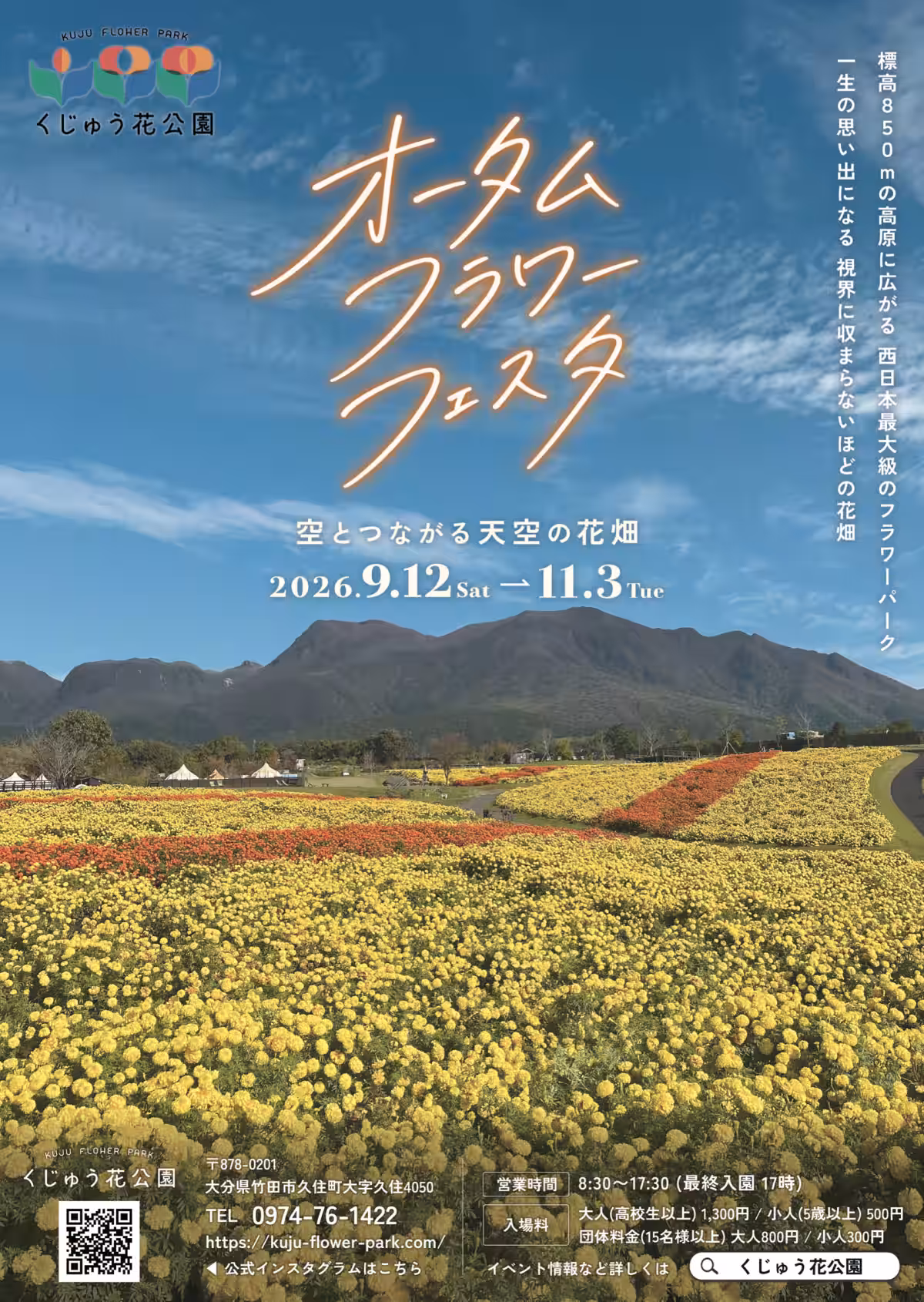 画像12