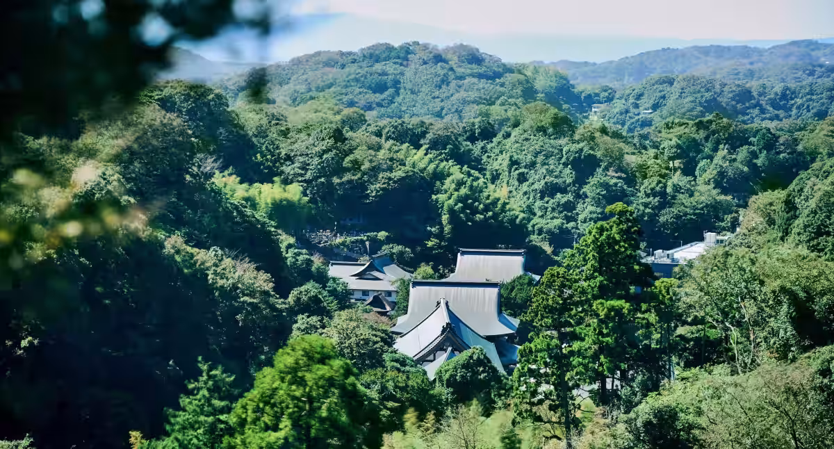 画像8