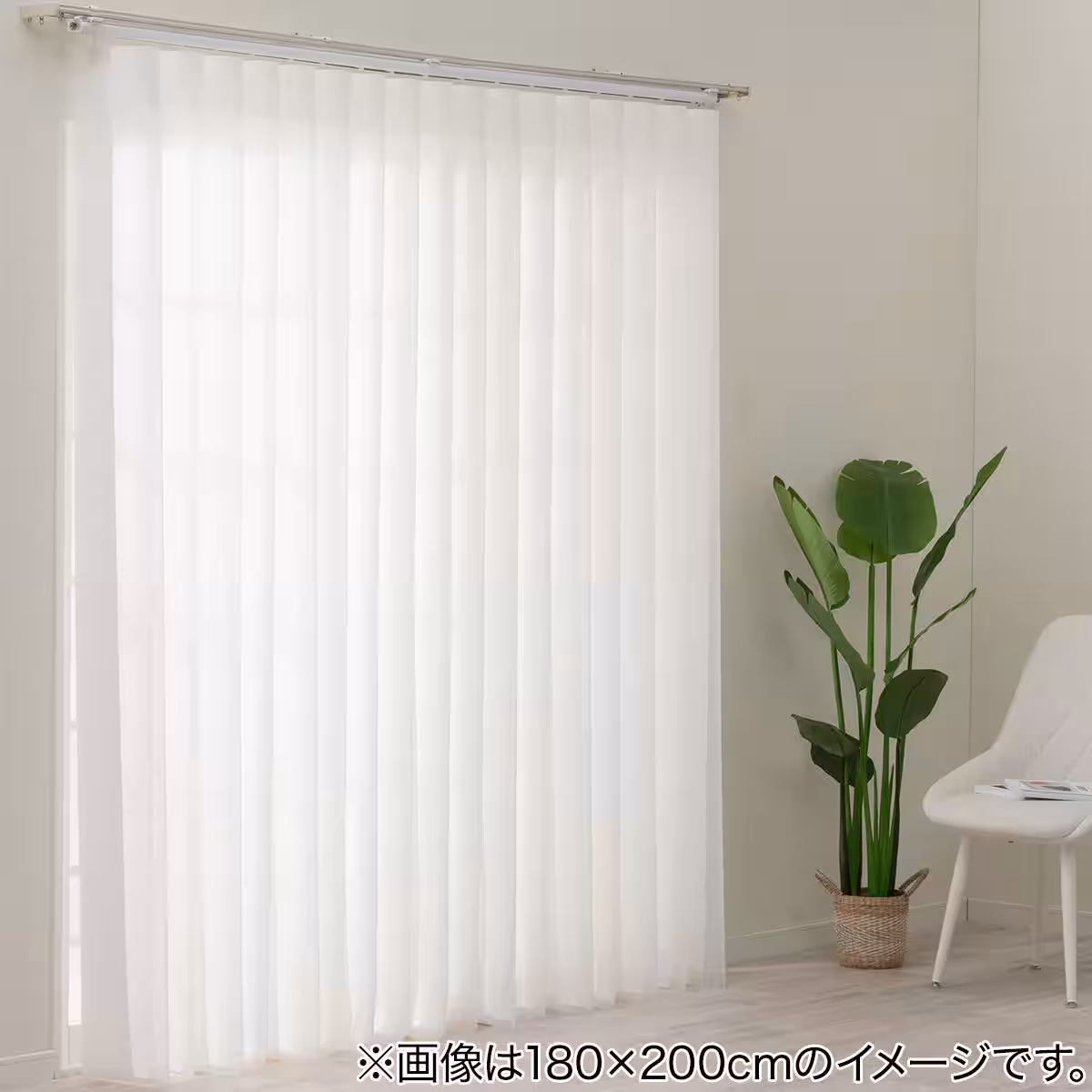 画像6