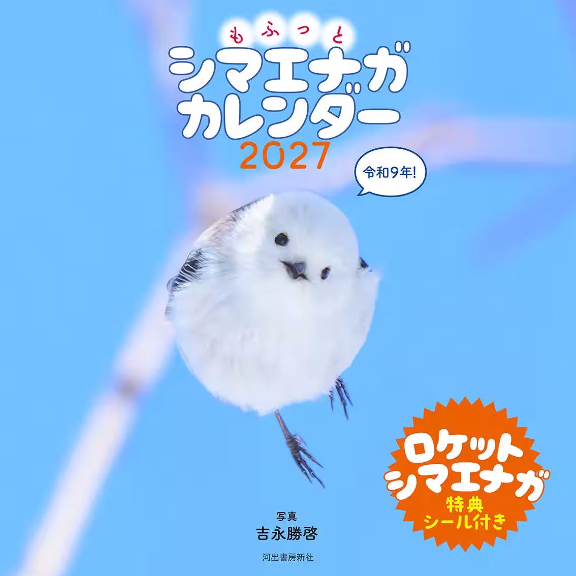 画像8