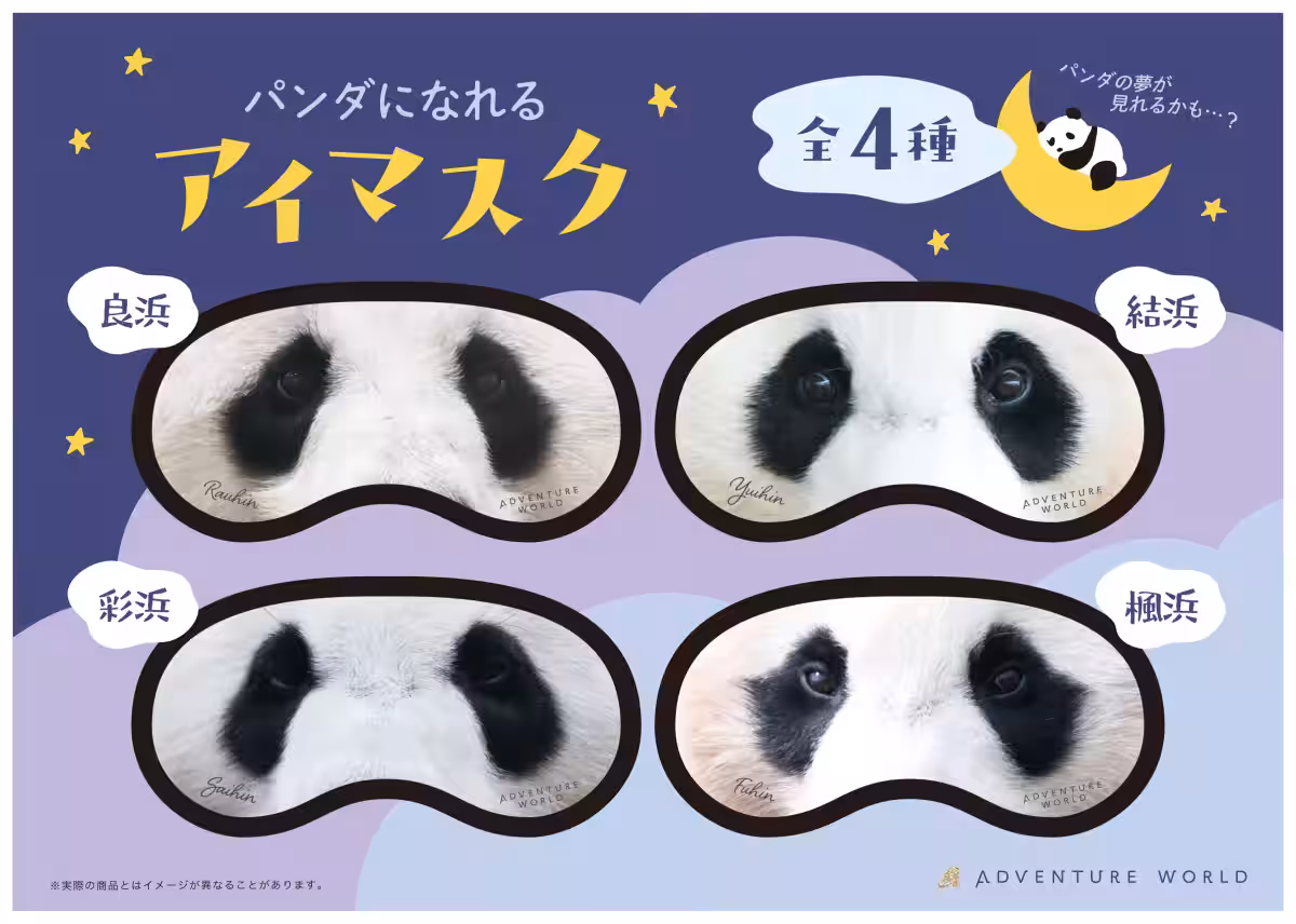 画像15
