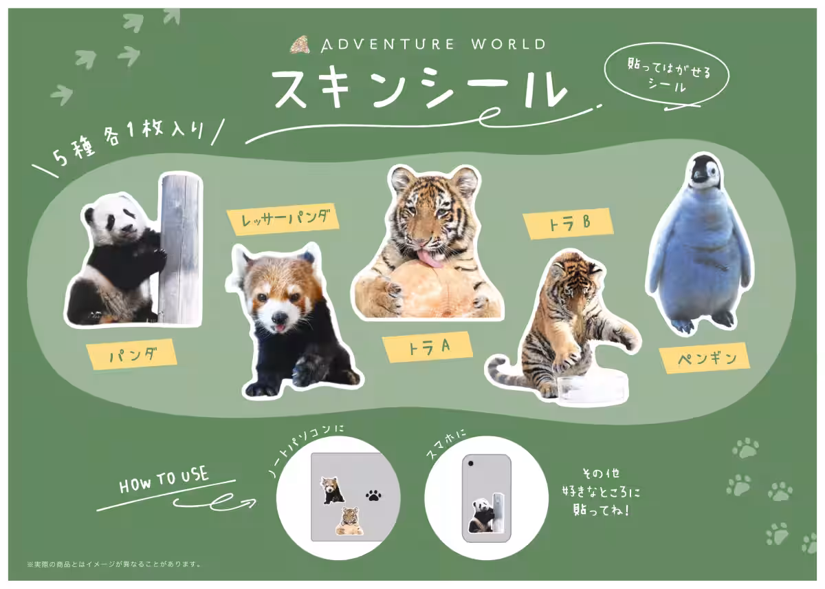画像19