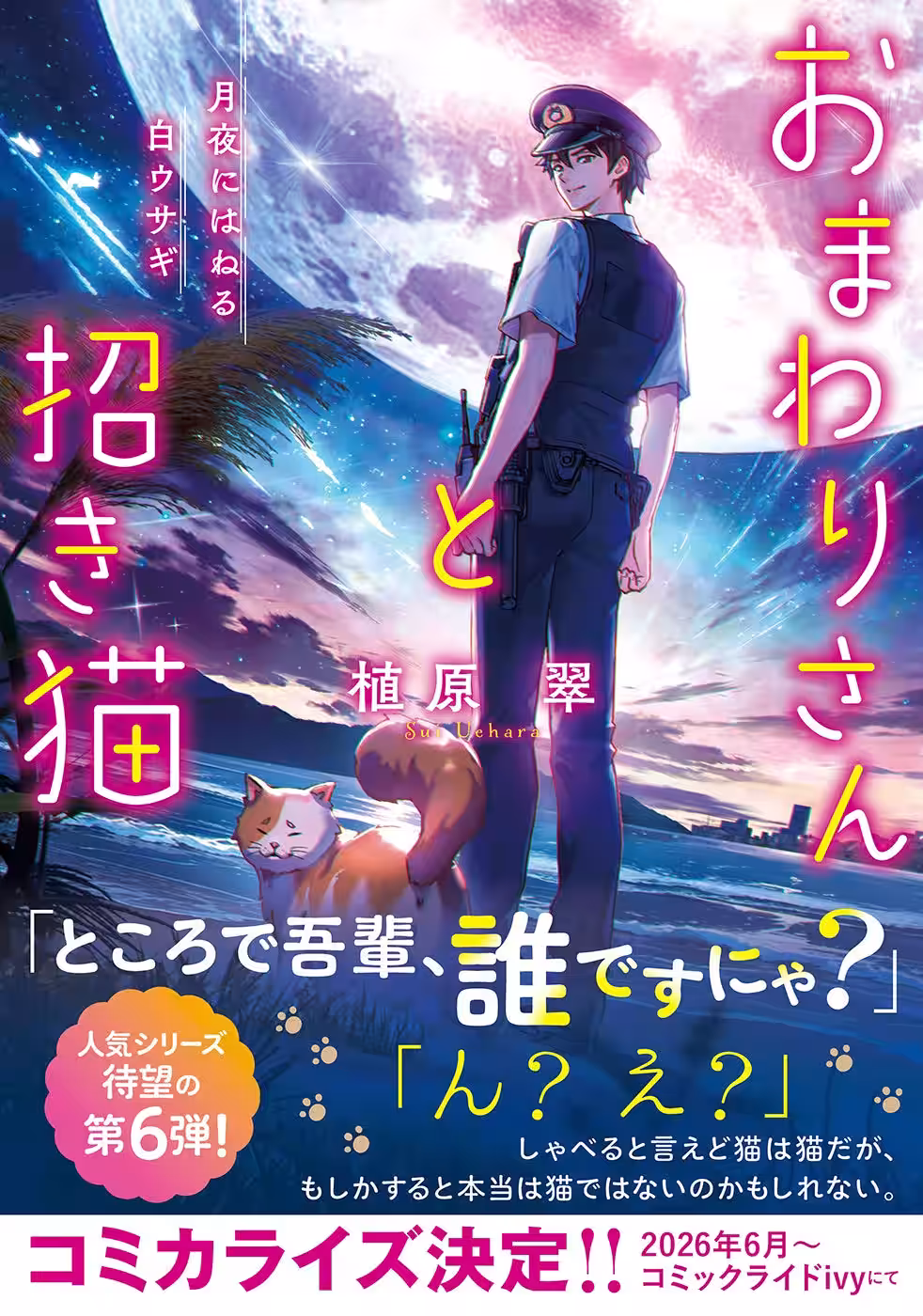画像9