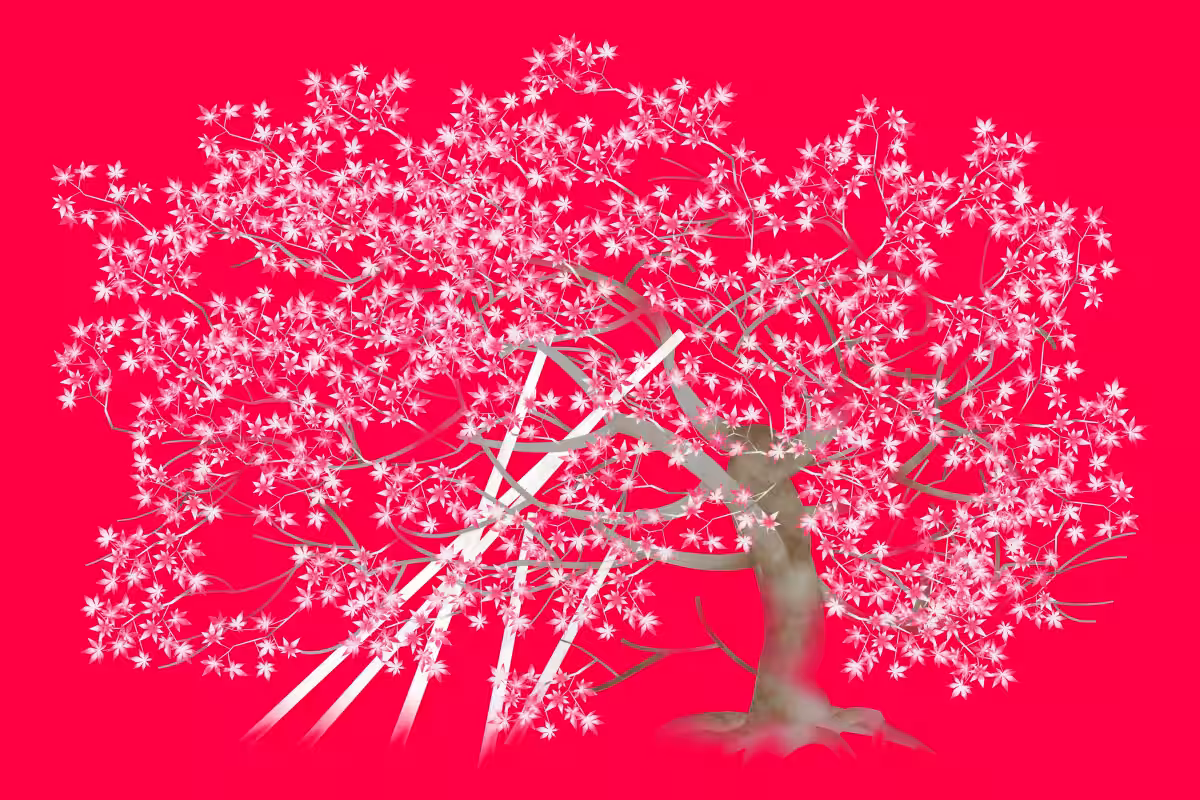 画像11