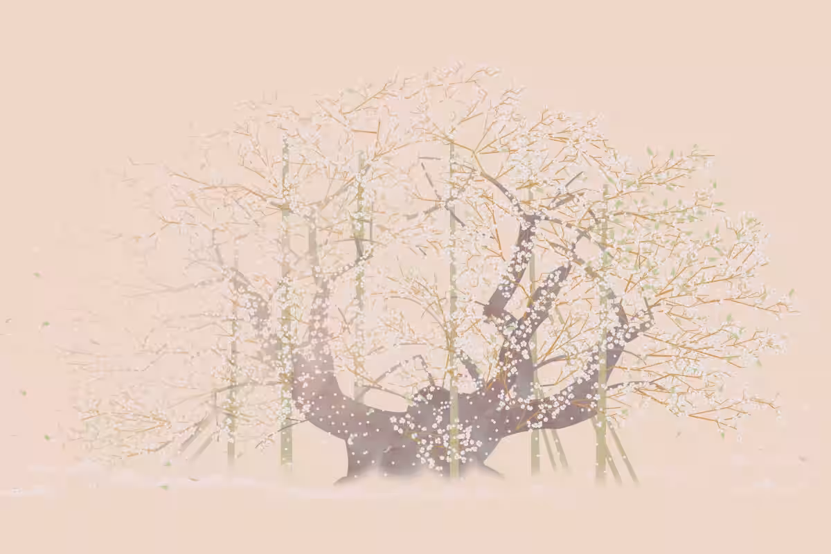 画像15