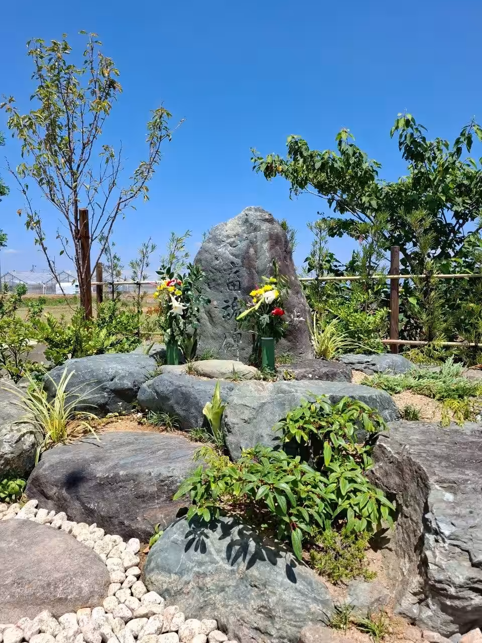 画像25