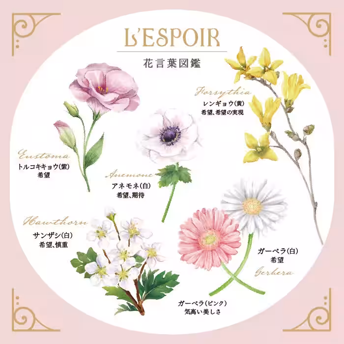 画像19